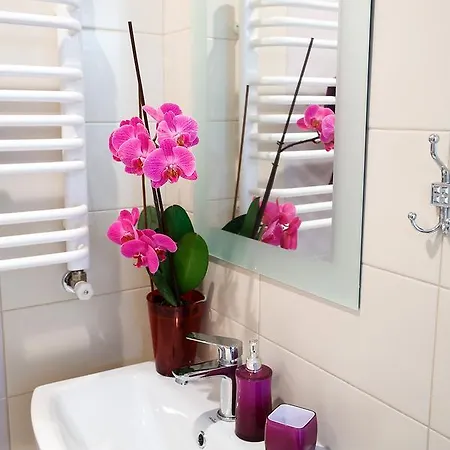 Апартаменты Furmanska 3 Mansarda