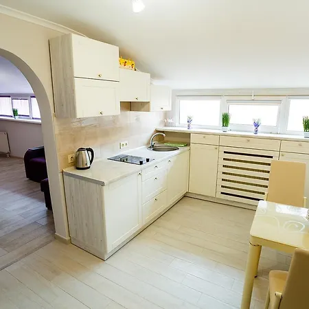 Furmanska 3 Mansarda Apartament Lwów