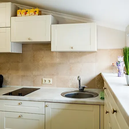 Furmanska 3 Mansarda Daire Lviv