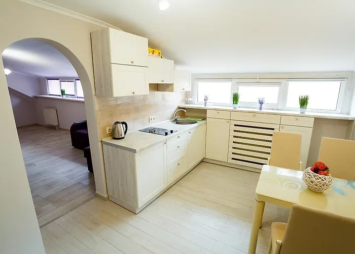 Furmanska 3 Mansarda Daire Lviv